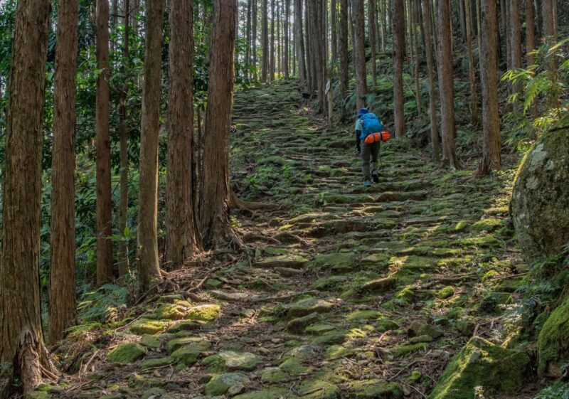 熊野三山に続く熊野古道