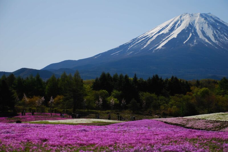 パワースポットの富士山